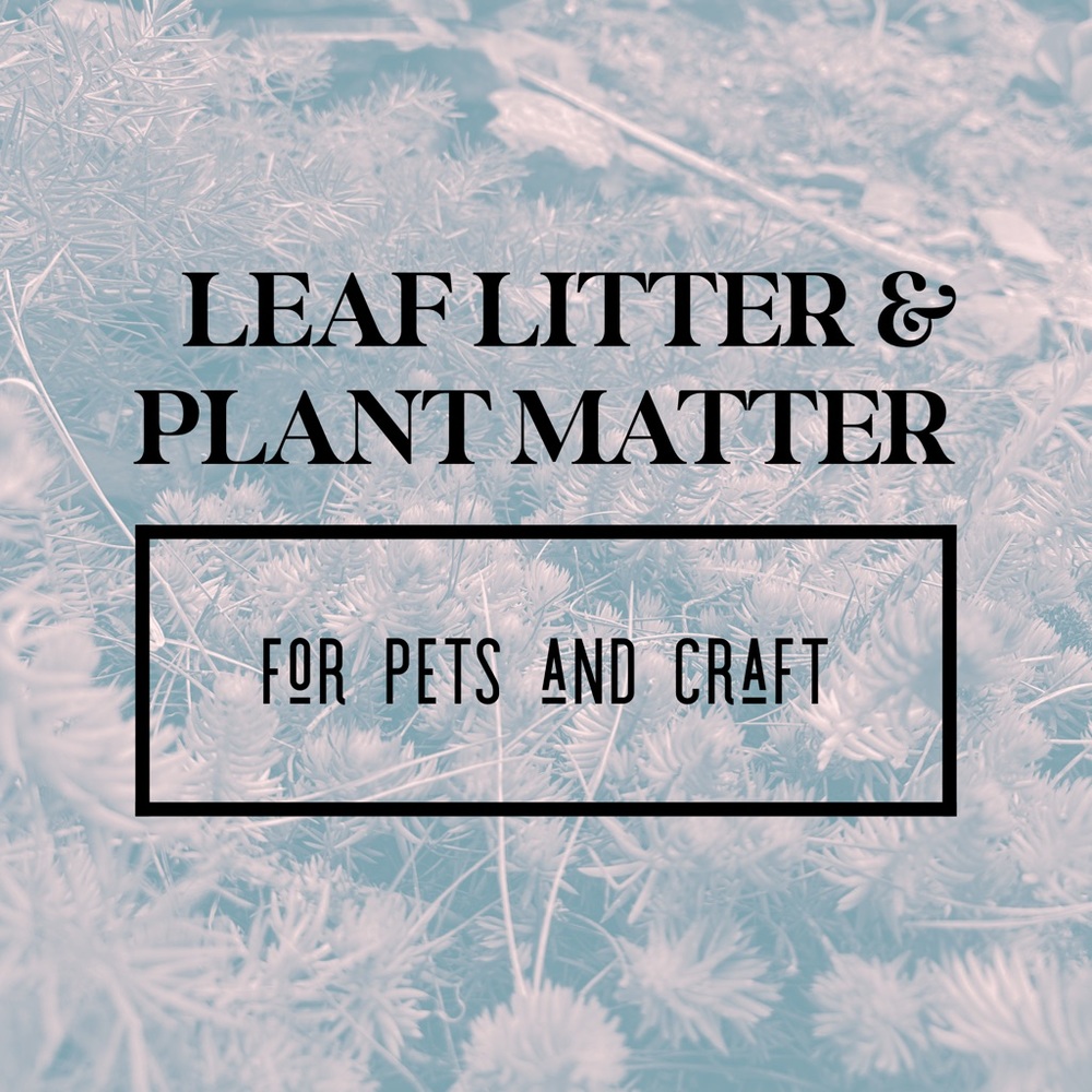 Natural Plant Matter For Craft and/or Pets